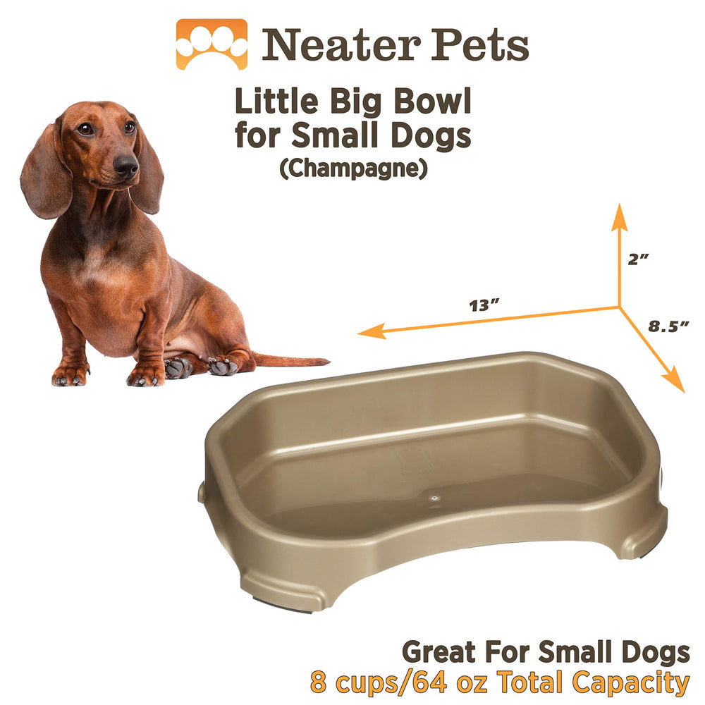 Neater Pet Brands tazón de usos múltiples, exterior para mascotas