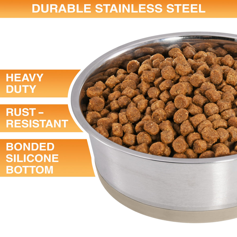 Neater Pet Brands dos tazones para agua y comida, aptos para lavavajillas