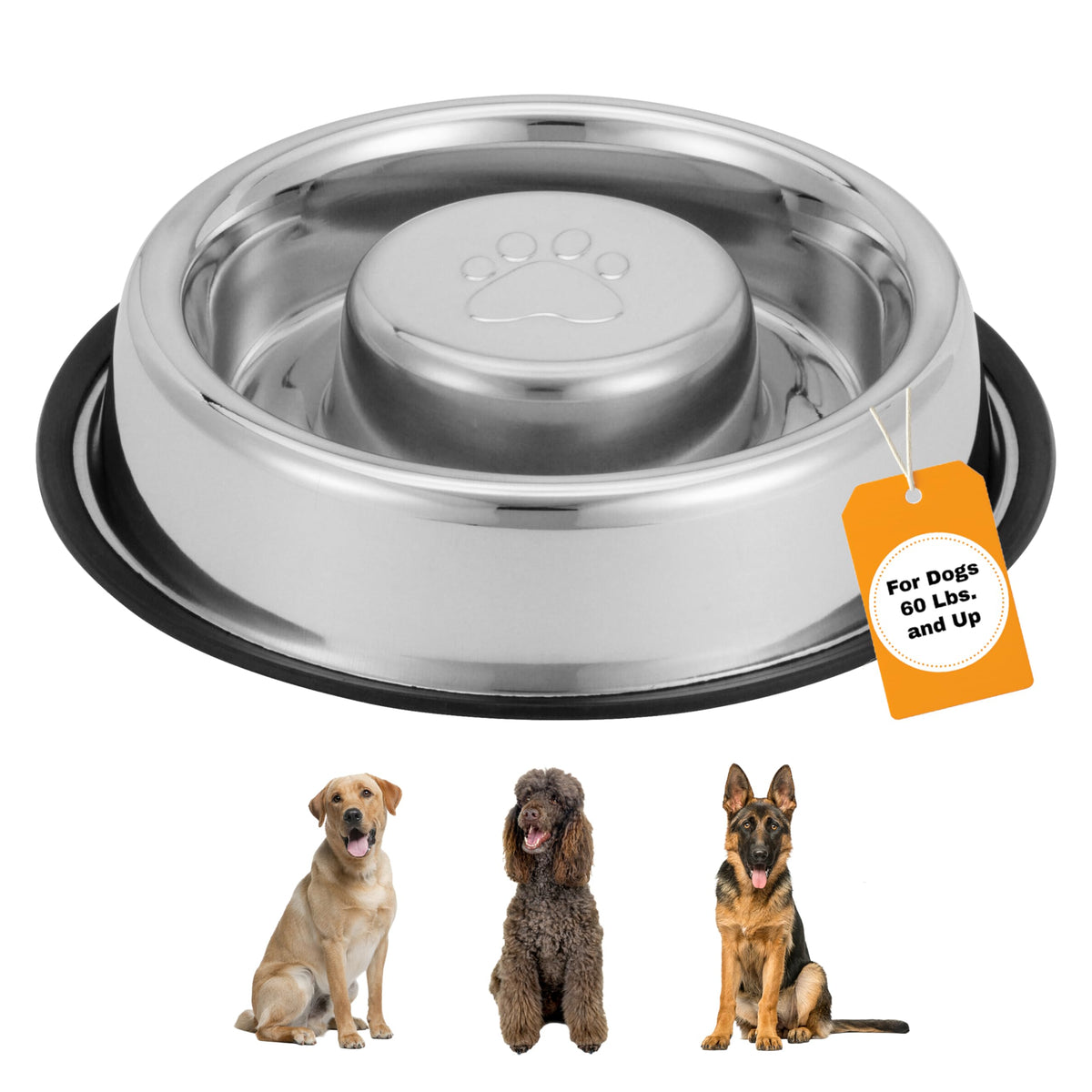 Neater Pet Brands plato de acero inoxidable para alimentación lenta, favorece un ritmo de comida más pausado.