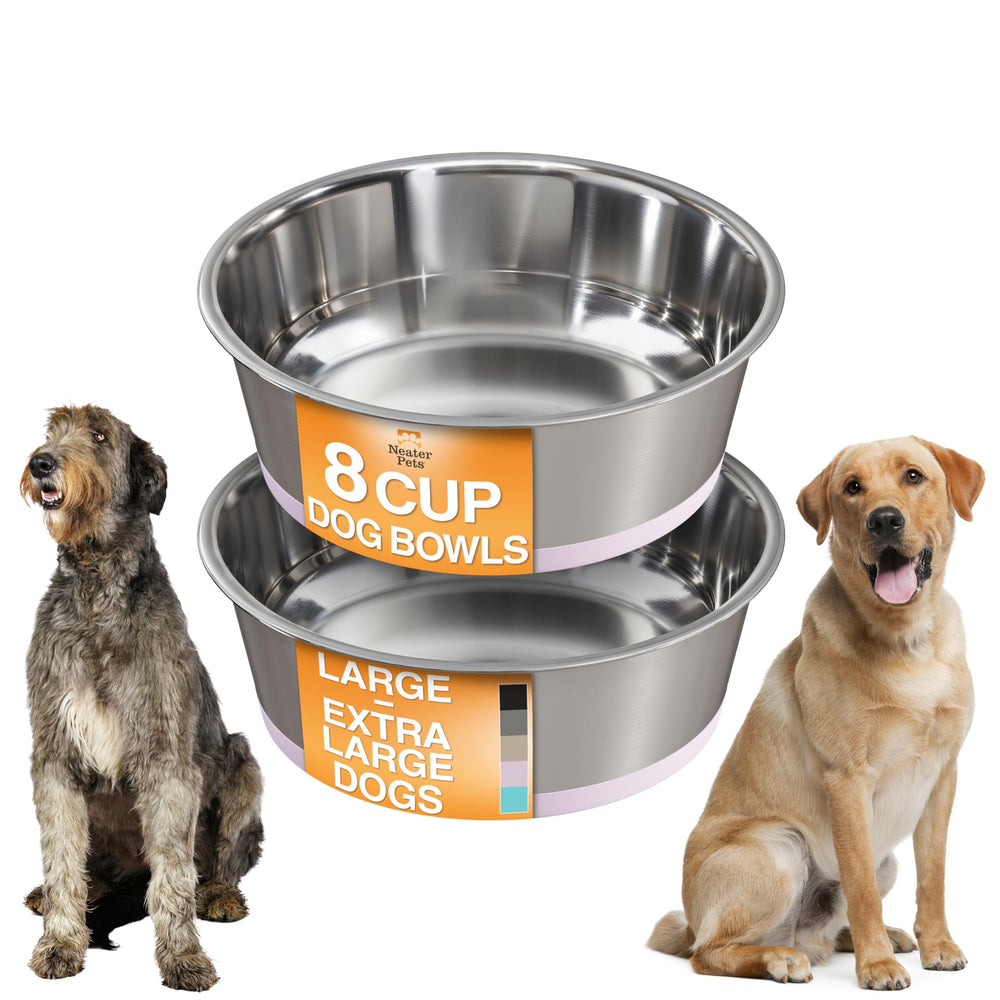 Neater Pet Brands tazón de acero inoxidable de 8 tazas en rosa para perros grandes