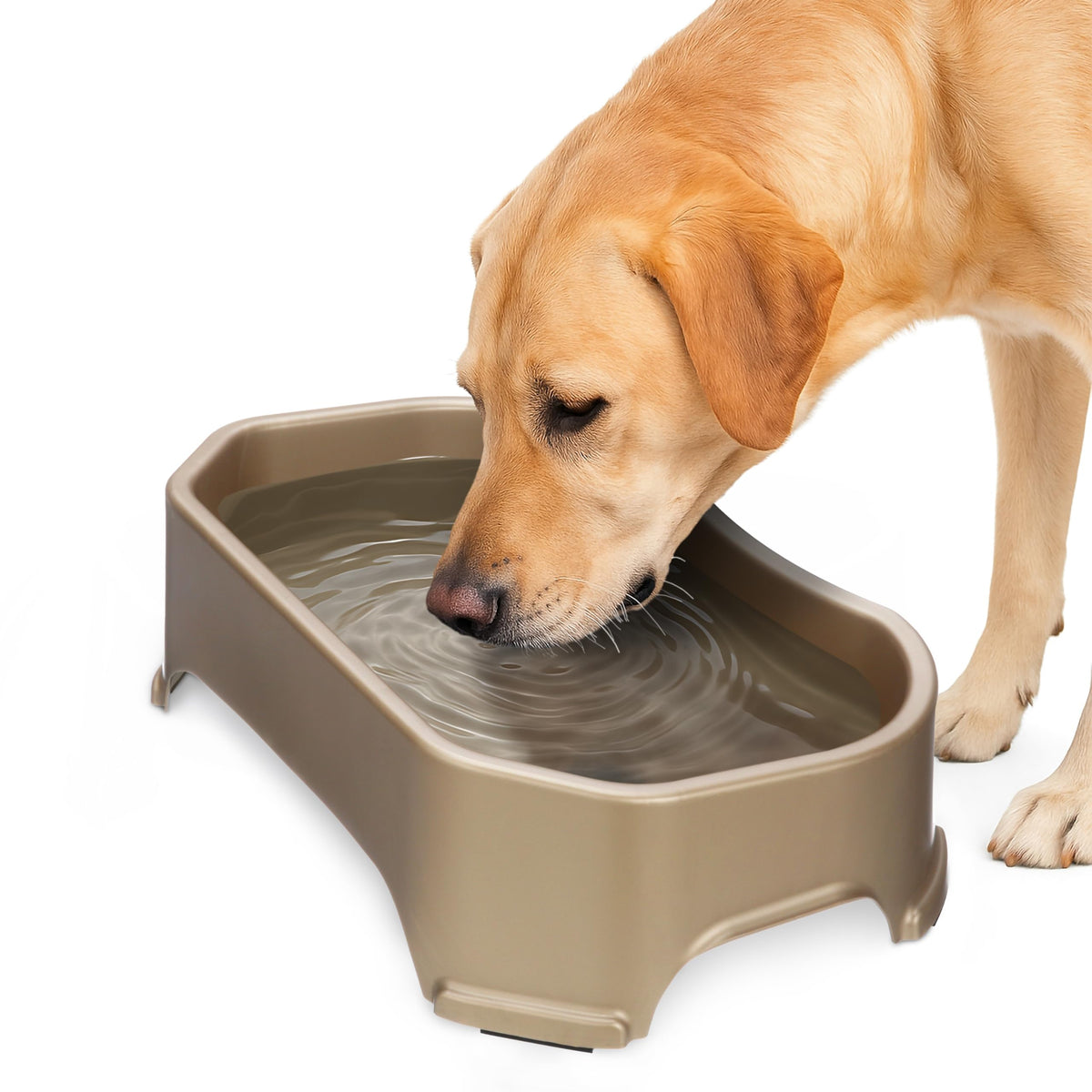 Neater Pet Brands tazón agua para perro grande en exterior, ideal para uso al aire libre.