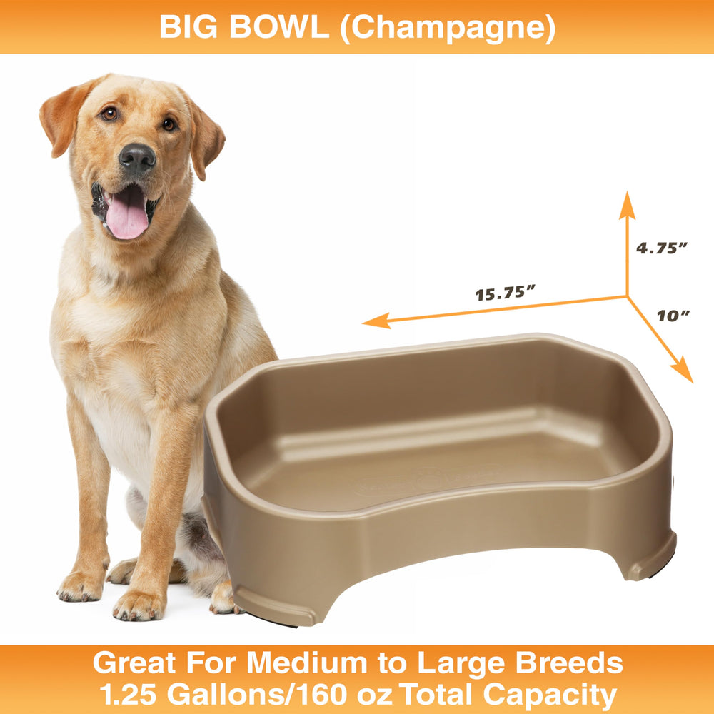 Neater Pet Brands tazón apto para lavavajillas, limpieza rápida.