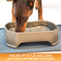 Neater Pet Brands tazón agua de gran capacidad 1,25 galones para varios perros.