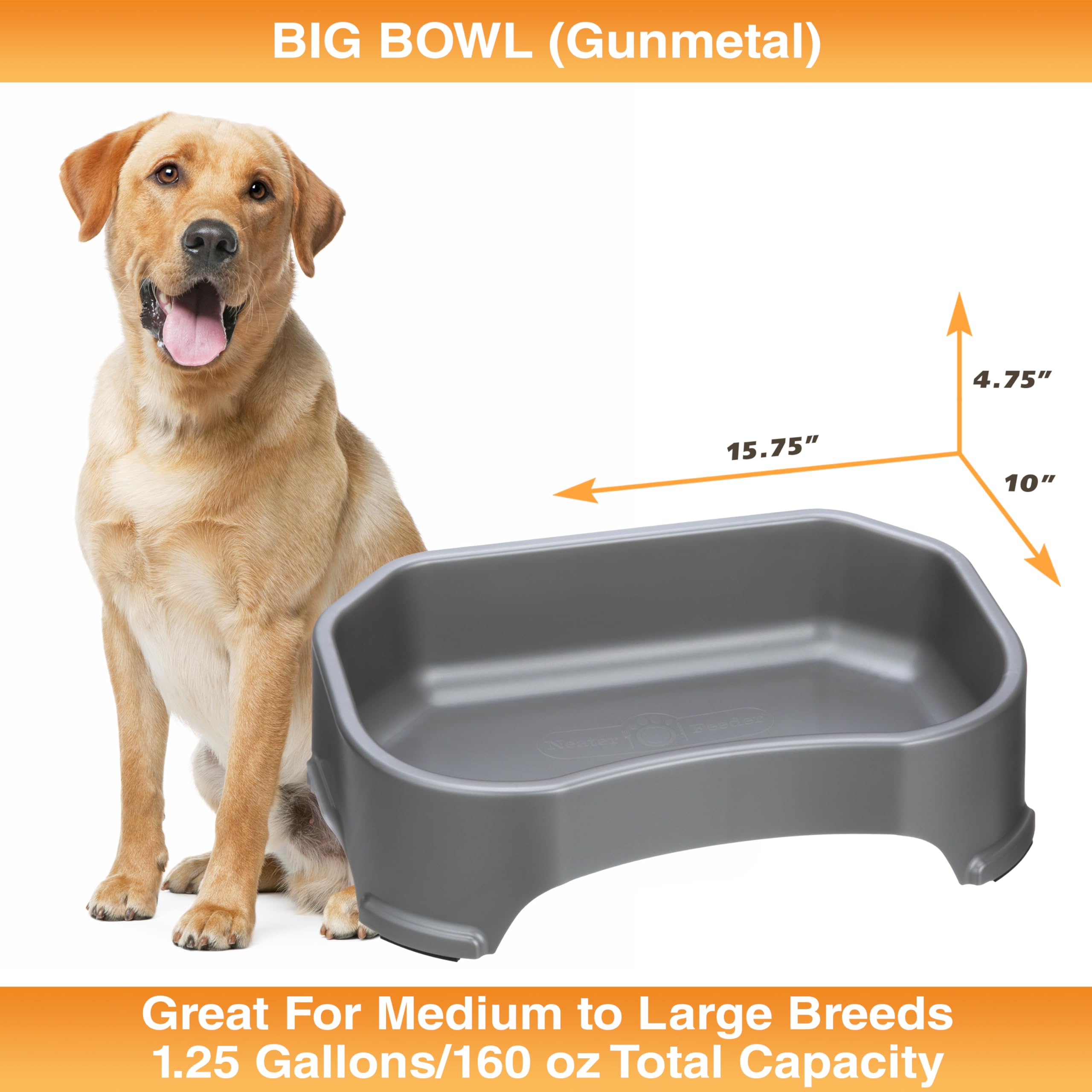 Neater Pet Brands tazon-grande-facil-de-limpiar apto-lavaplatos limpieza rápida