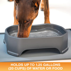 Neater Pet Brands tazon-grande-perro-exterior-capacidad-1-25-galones agua lista para sesiones largas