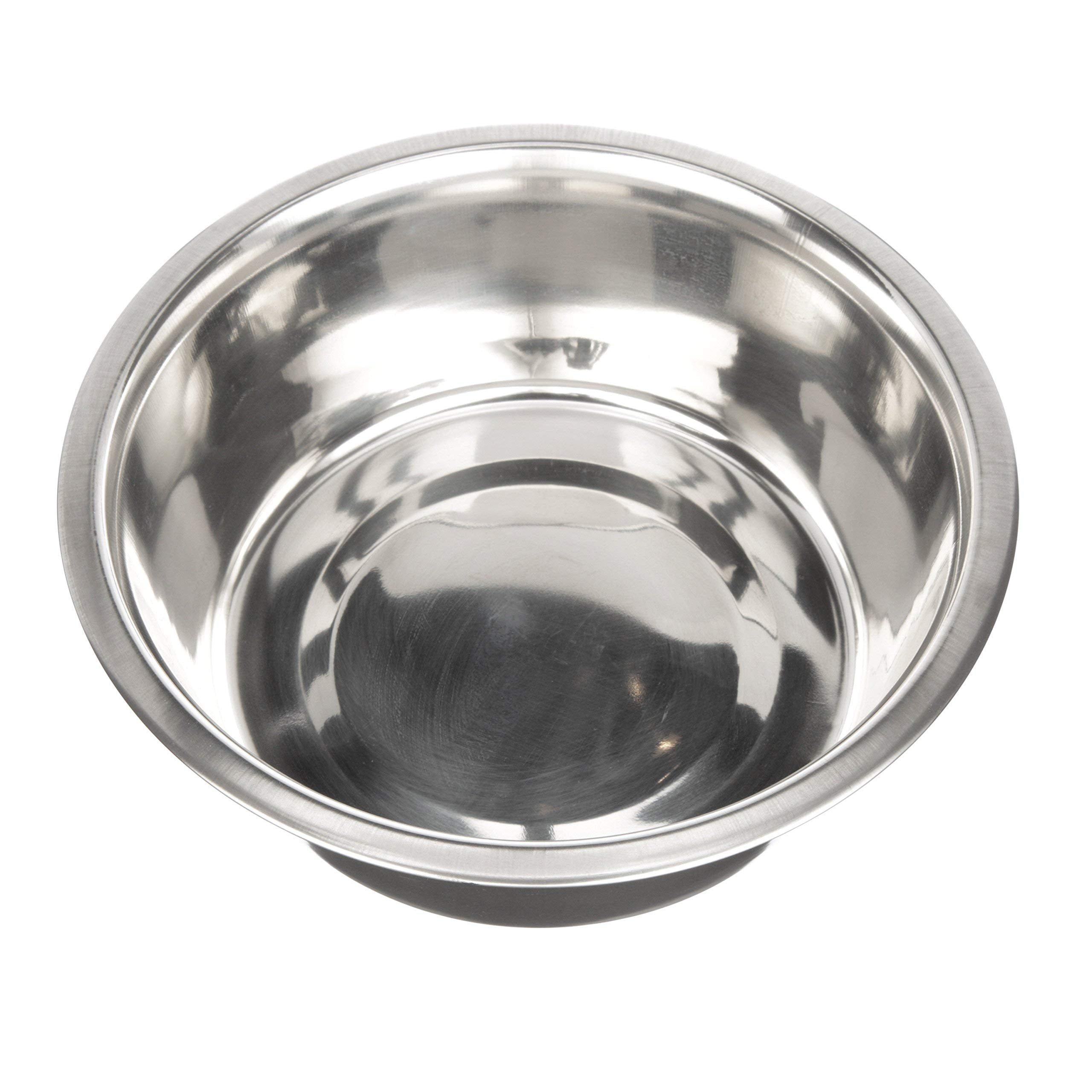 Neater Pet Brands tazón 56oz uso diario, ideal para familias con mascotas grandes.