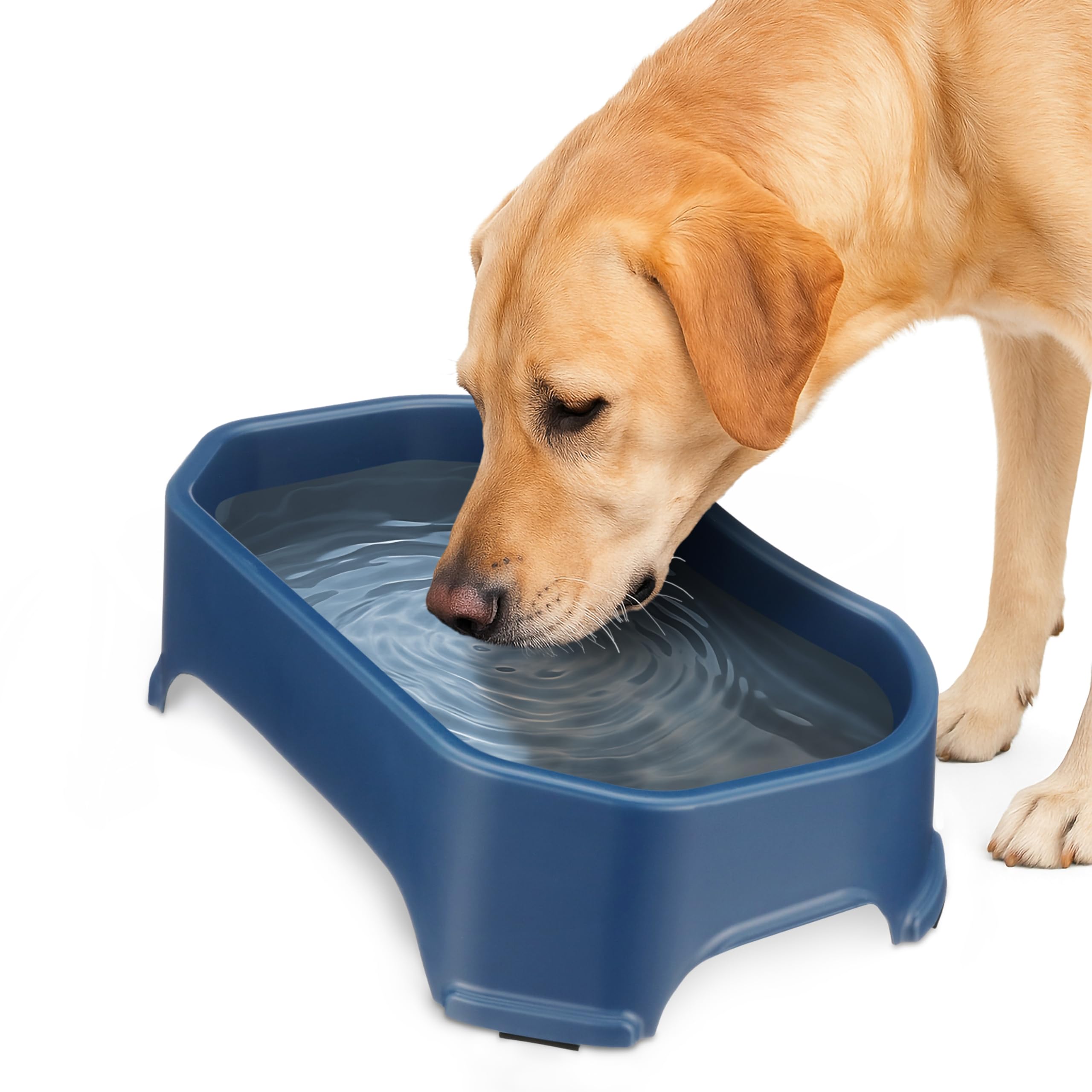 Neater Pet gran tazón de agua exterior para perros, duradero y resistente.