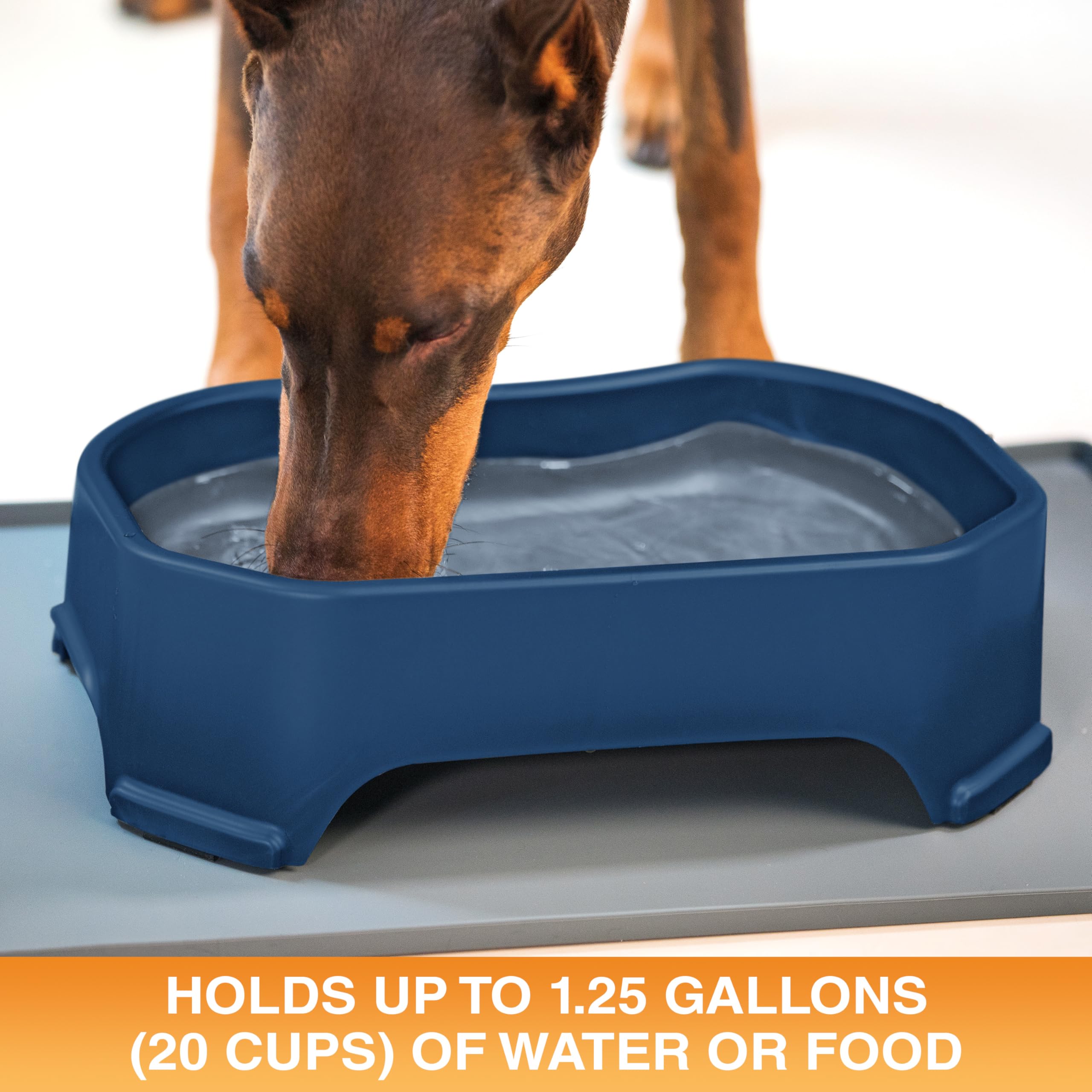 Neater Pet tazón para perros de 1,25 galones, ideal para grandes compañeros.