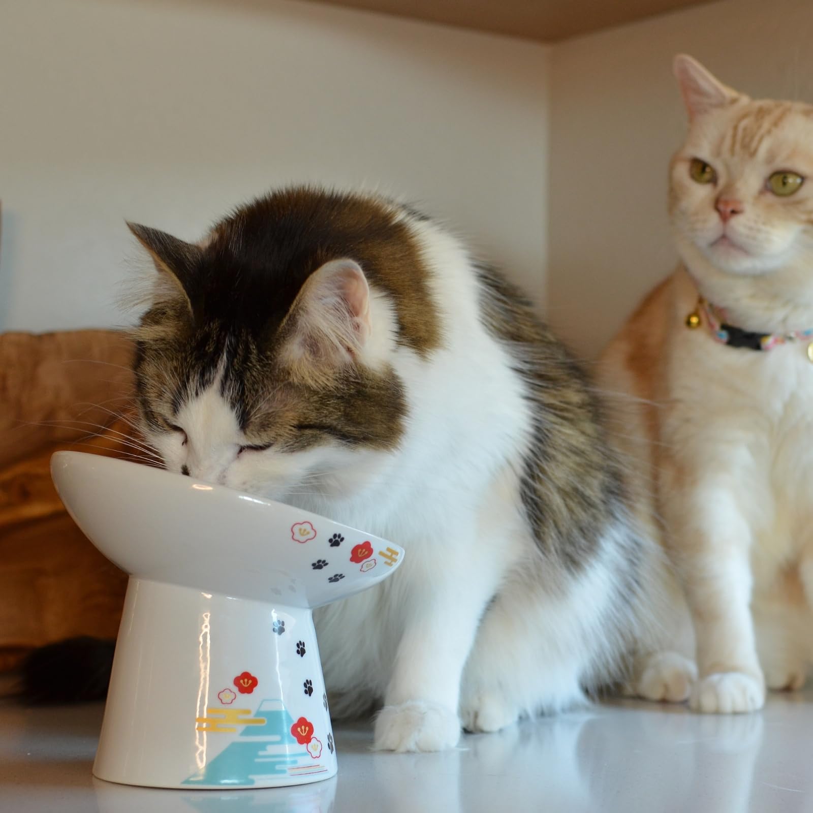 Necoichi diseño ergonómico que facilita la hora de comer