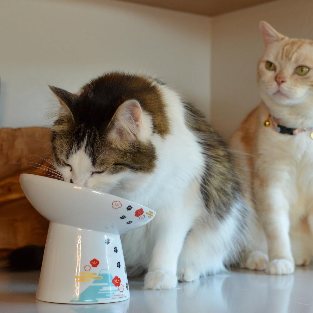 Necoichi diseño ergonómico que facilita la hora de comer