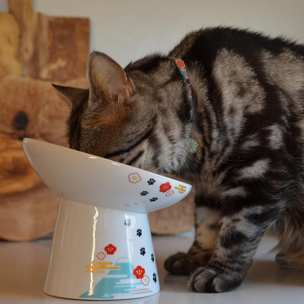 Necoichi uso diario cómodo para gatos grandes o con sobrepeso