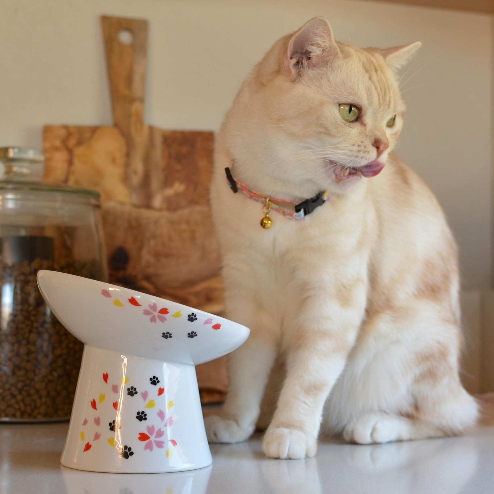 Necoichi inclinacion-15-grados: postura cómoda al comer para gatos