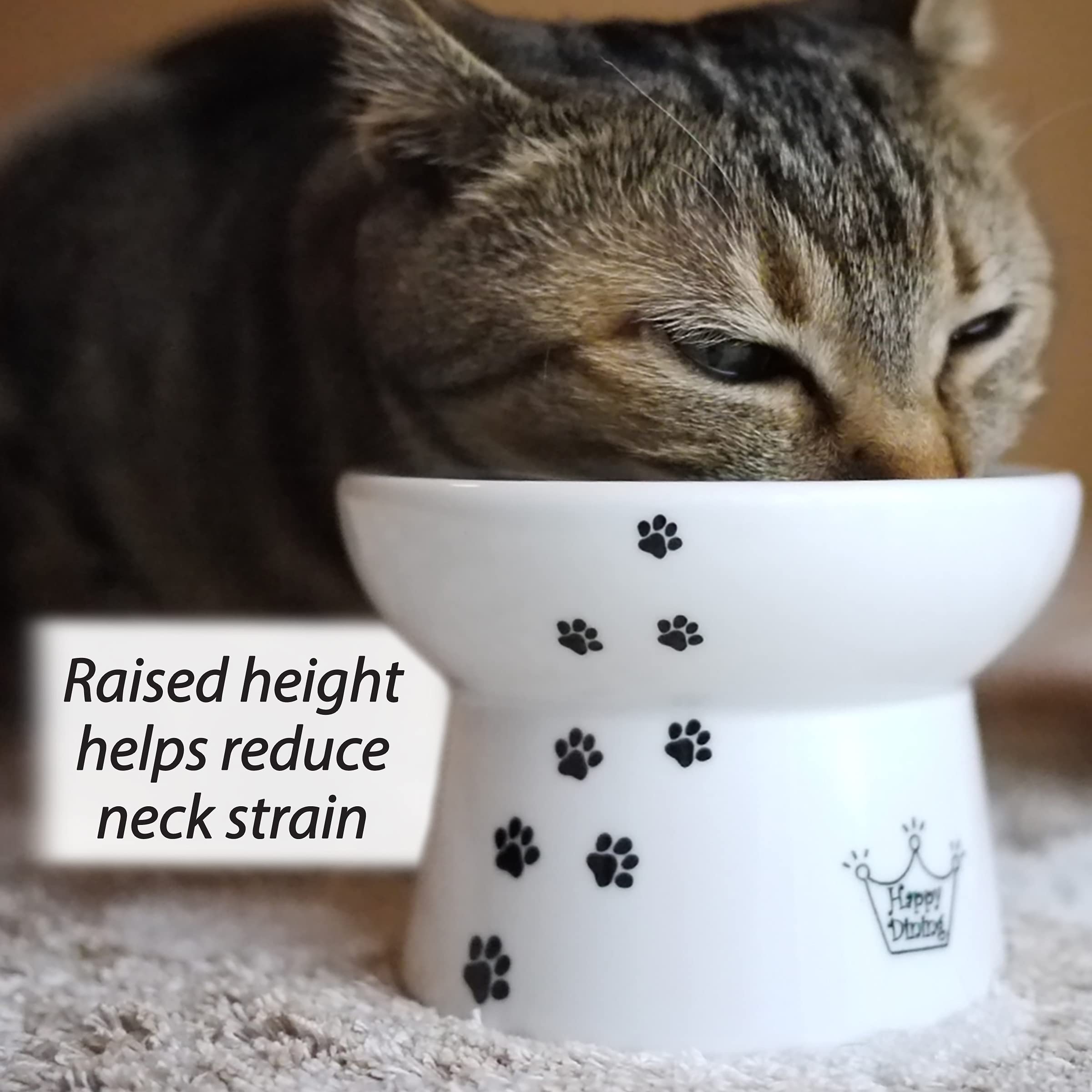 猫壱 tazón elevado evita vómitos: diseño suave para comer