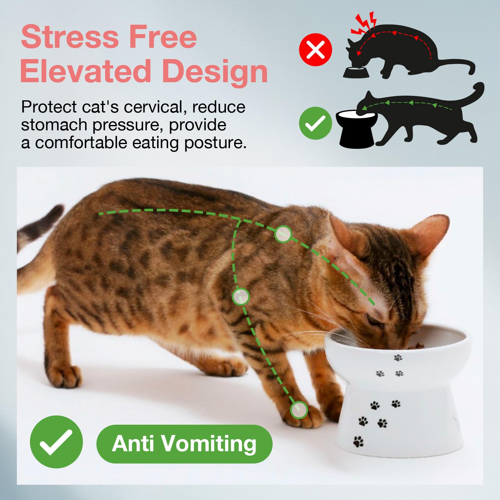 猫壱 tazón elevado antideslizante: mantiene estable la comida