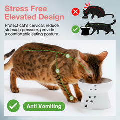 猫壱 tazón elevado antideslizante: mantiene estable la comida