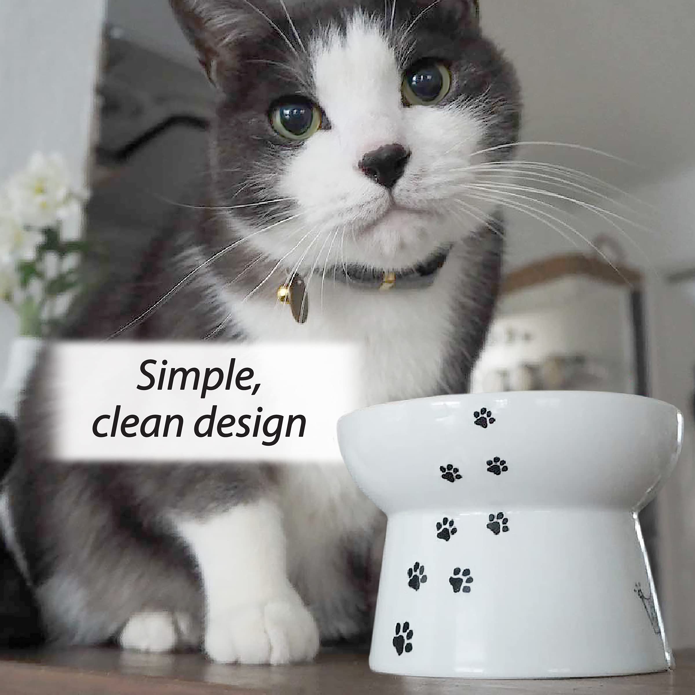 猫壱 tazón para interior: uso diario cómodo en casa