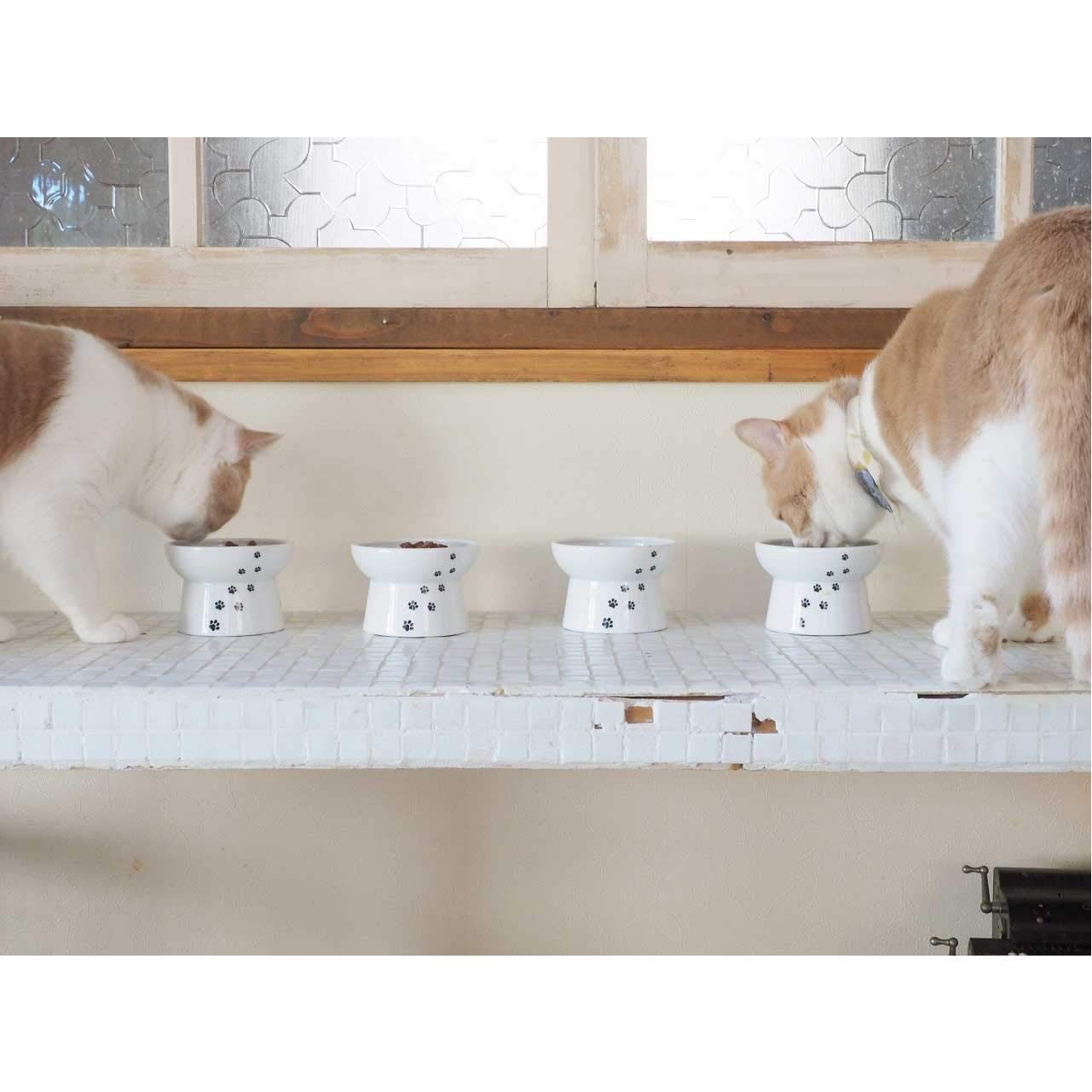 猫壱 tazón cerámico duradero: seguro para alimentos