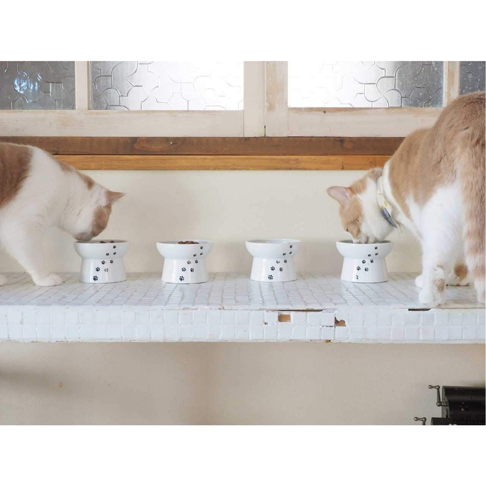 猫壱 tazón cerámico duradero: seguro para alimentos