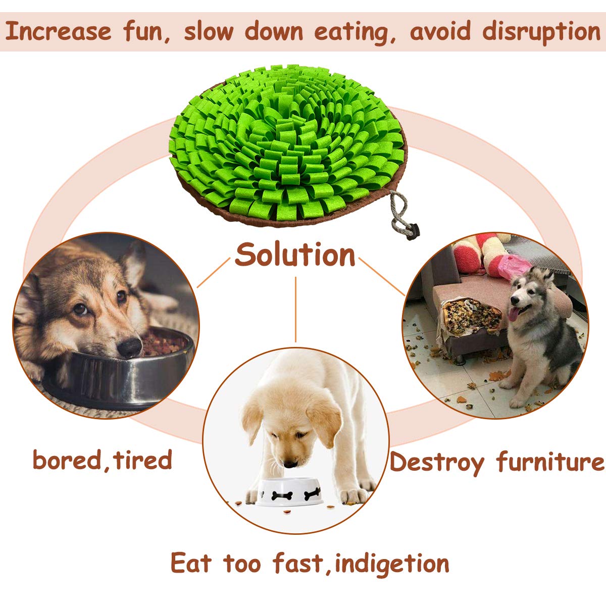 NEECONG tapete-snuffle-bowl-plegable se transforma en cuenco para premios.