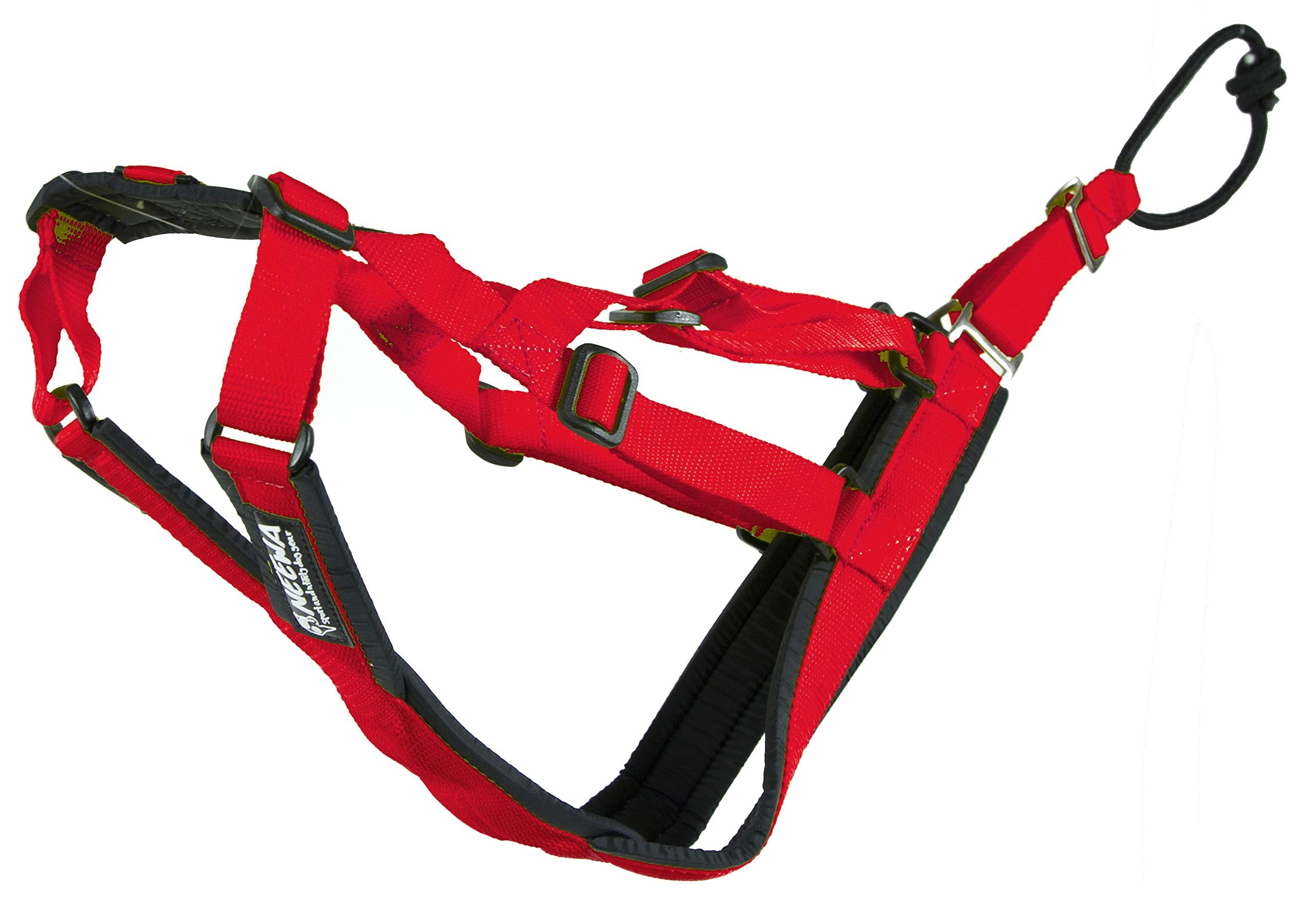 Arnés Neewa Sled Pro, vista frontal, ajuste cómodo para perros grandes.