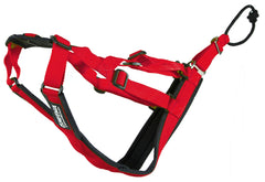 Arnés Neewa Sled Pro, vista frontal, ajuste cómodo para perros grandes.