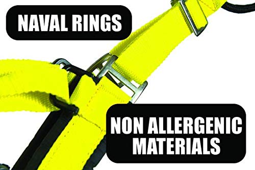 Arnés Neewa Sled Pro, ideal para trineo de perros en rutas nevadas.