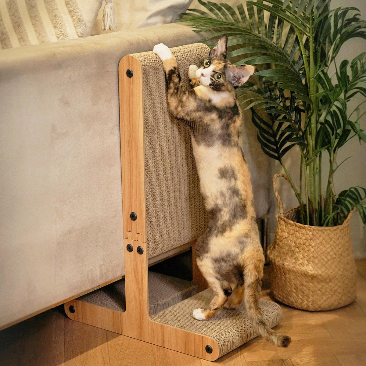 Nekosan rascador para gatos en forma de T horizontal listo para estirarse y rascar