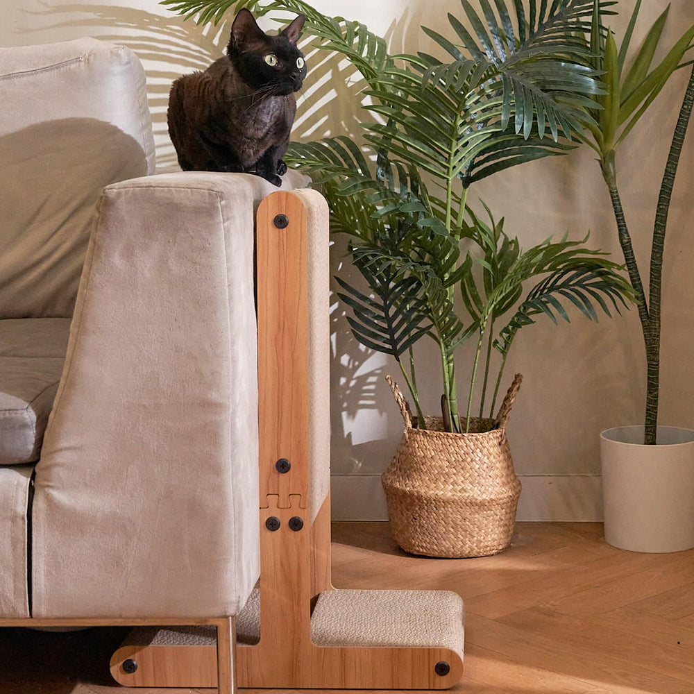 Nekosan diseño doble cara alarga la vida útil del juguete