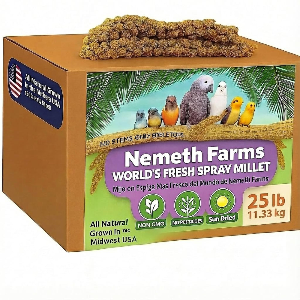 Nemeth Farms espiga de mijo para aves, fuente natural de forraje en jaula.