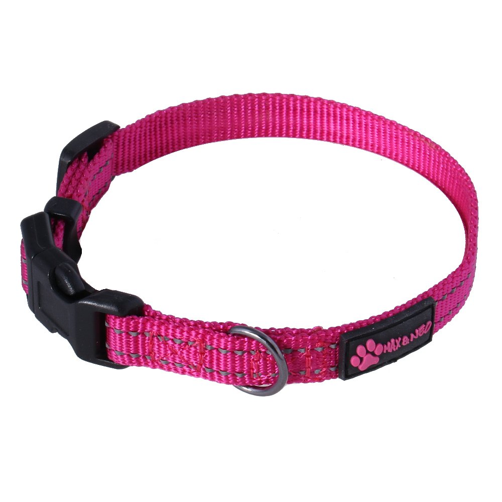 Neo Collar con dos bandas reflectantes en rosa para mayor visibilidad al atardecer.