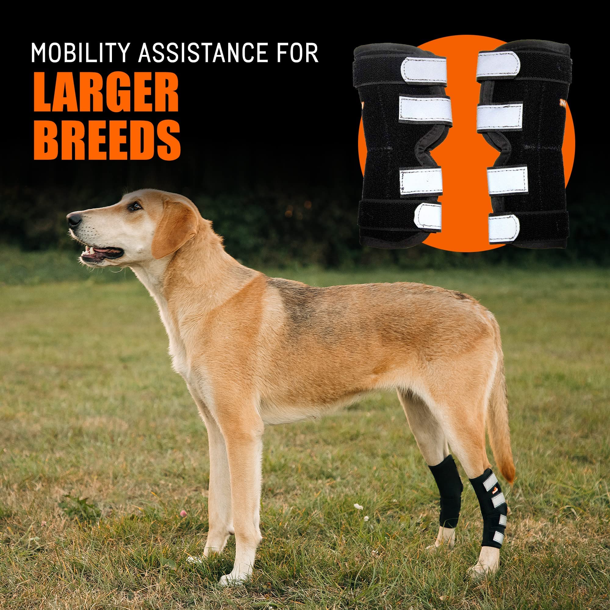 NeoAlly: correa reflectante para ajuste seguro en uso nocturno.