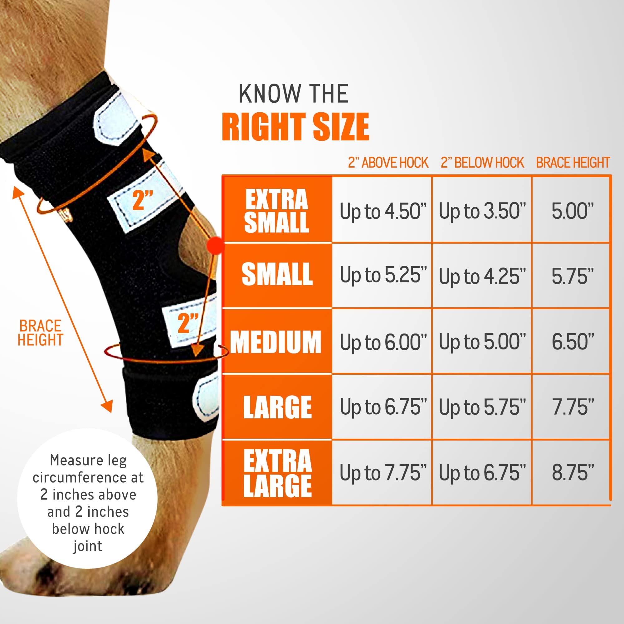 NeoAlly: diseño ergonómico para la articulación del tarso.