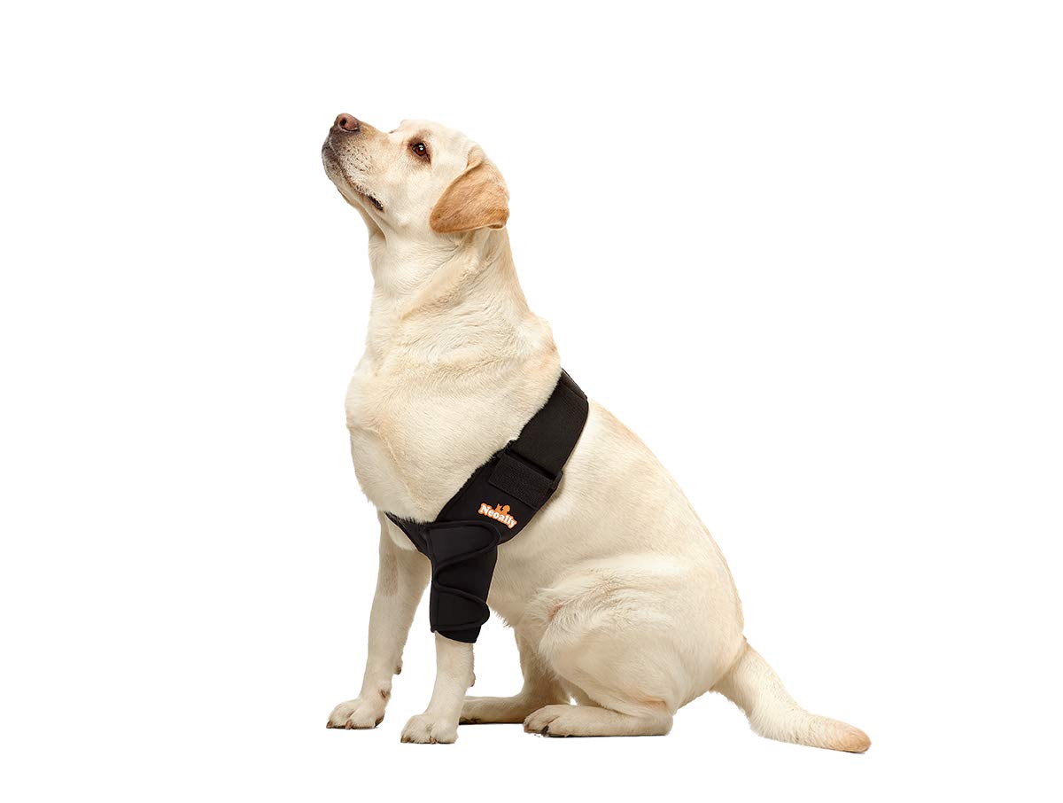 Diseño patentado NeoAlly para codo de perro que se adapta al cuerpo