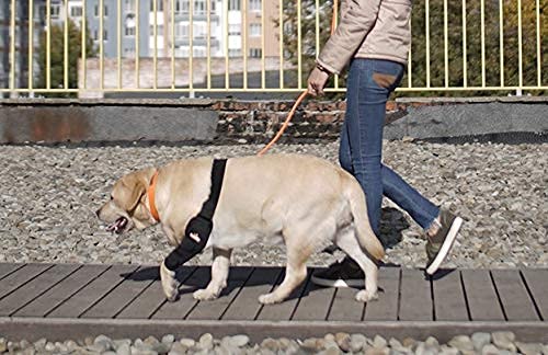 NeoAlly guía la medición del codo para la talla correcta (izquierda/derecha).
