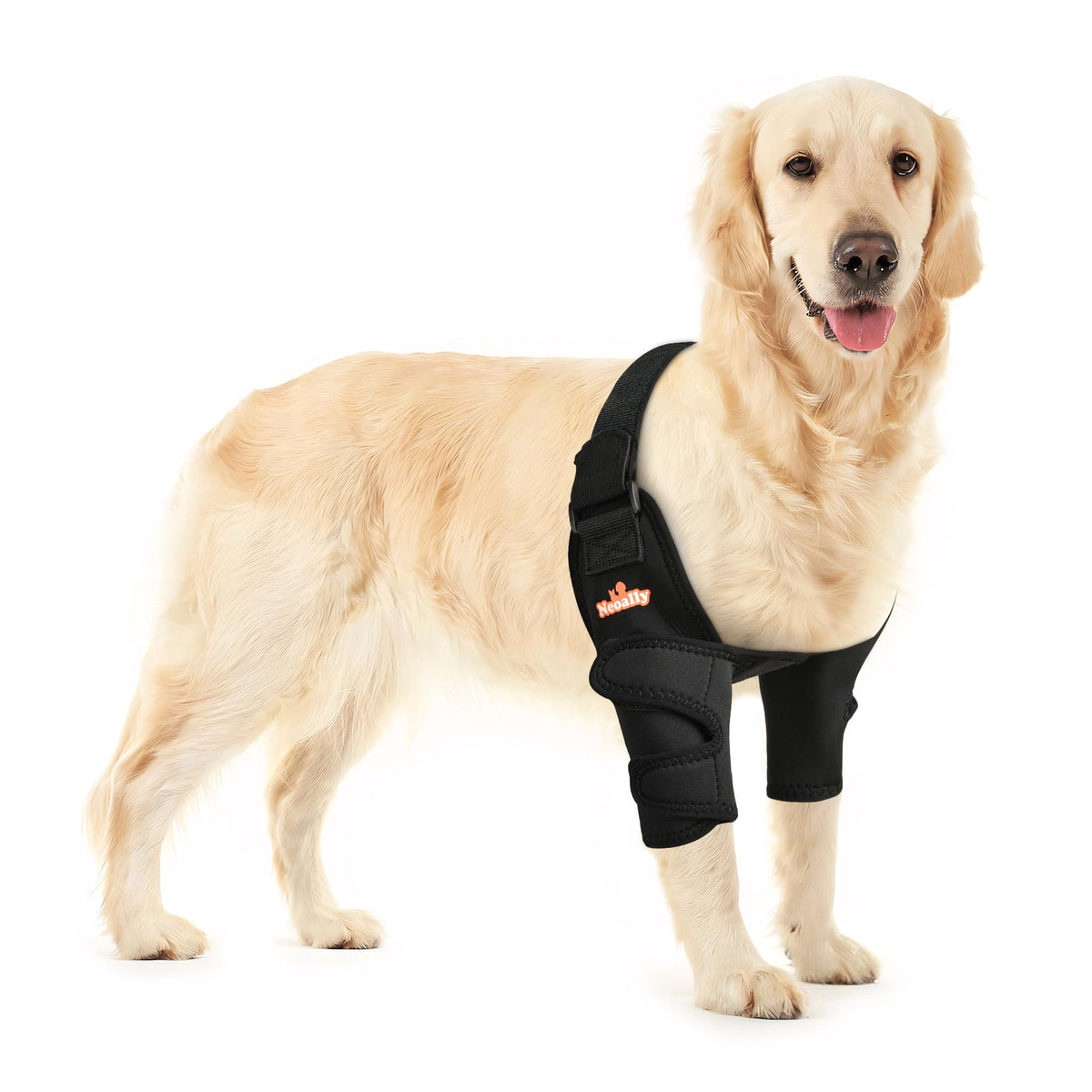 NeoAlly protector codo para perros, enfoque en soporte suave para mayor movilidad.