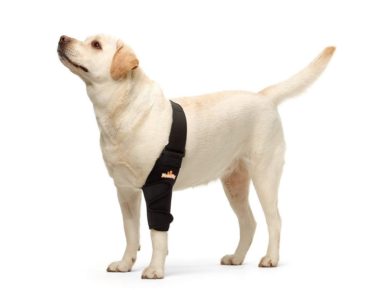 Protector de codo NeoAlly para perro con ajuste seguro y comodidad diaria