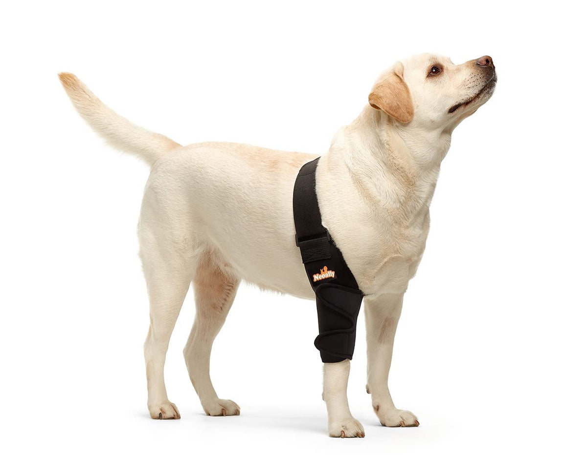 Protector de codo NeoAlly para pata derecha, ideal para mantener la articulación estable.