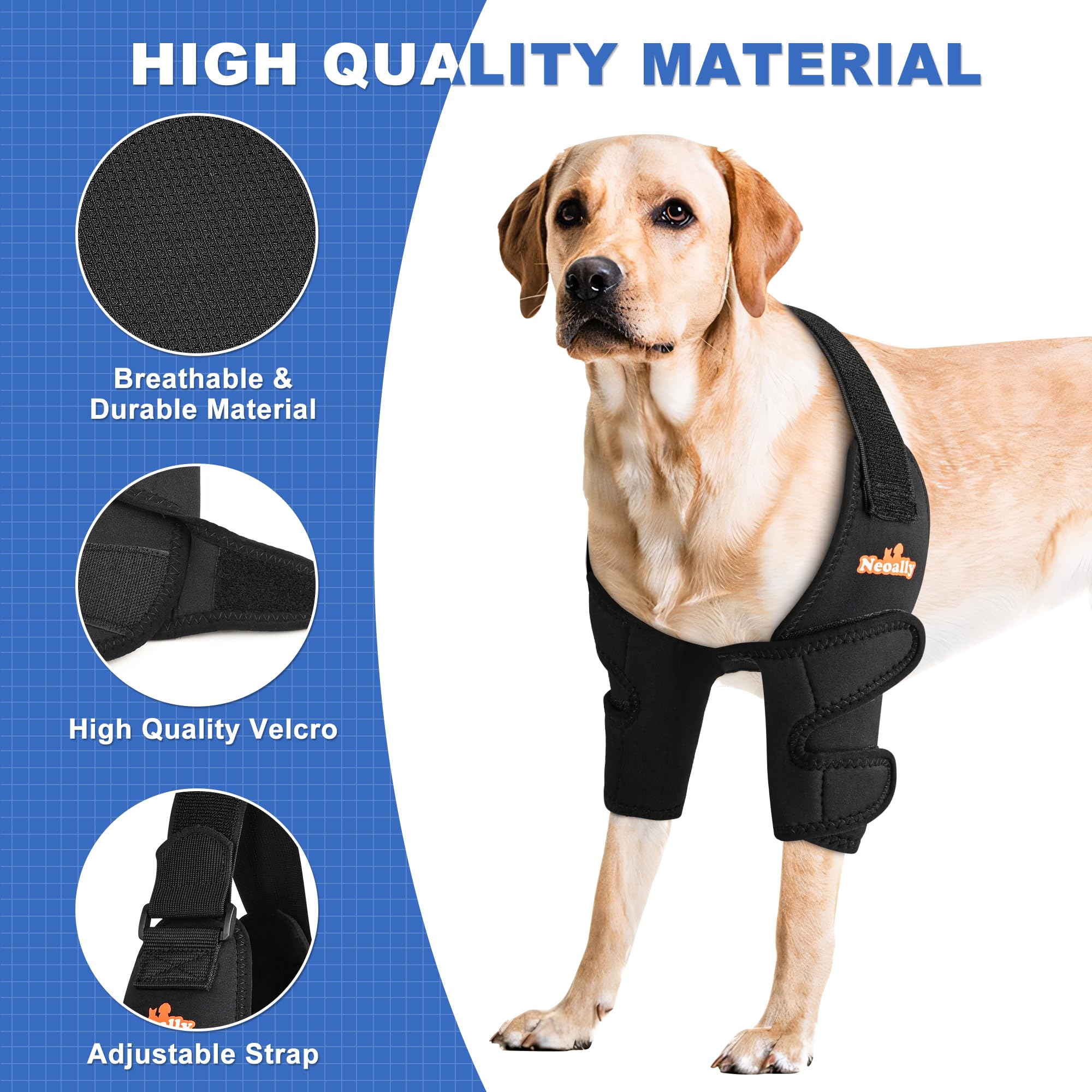 Probado en razas populares, recomendado por veterinarios.