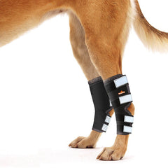 NeoAlly soporte tobillo trasero para perro grande mejora movilidad durante recuperación