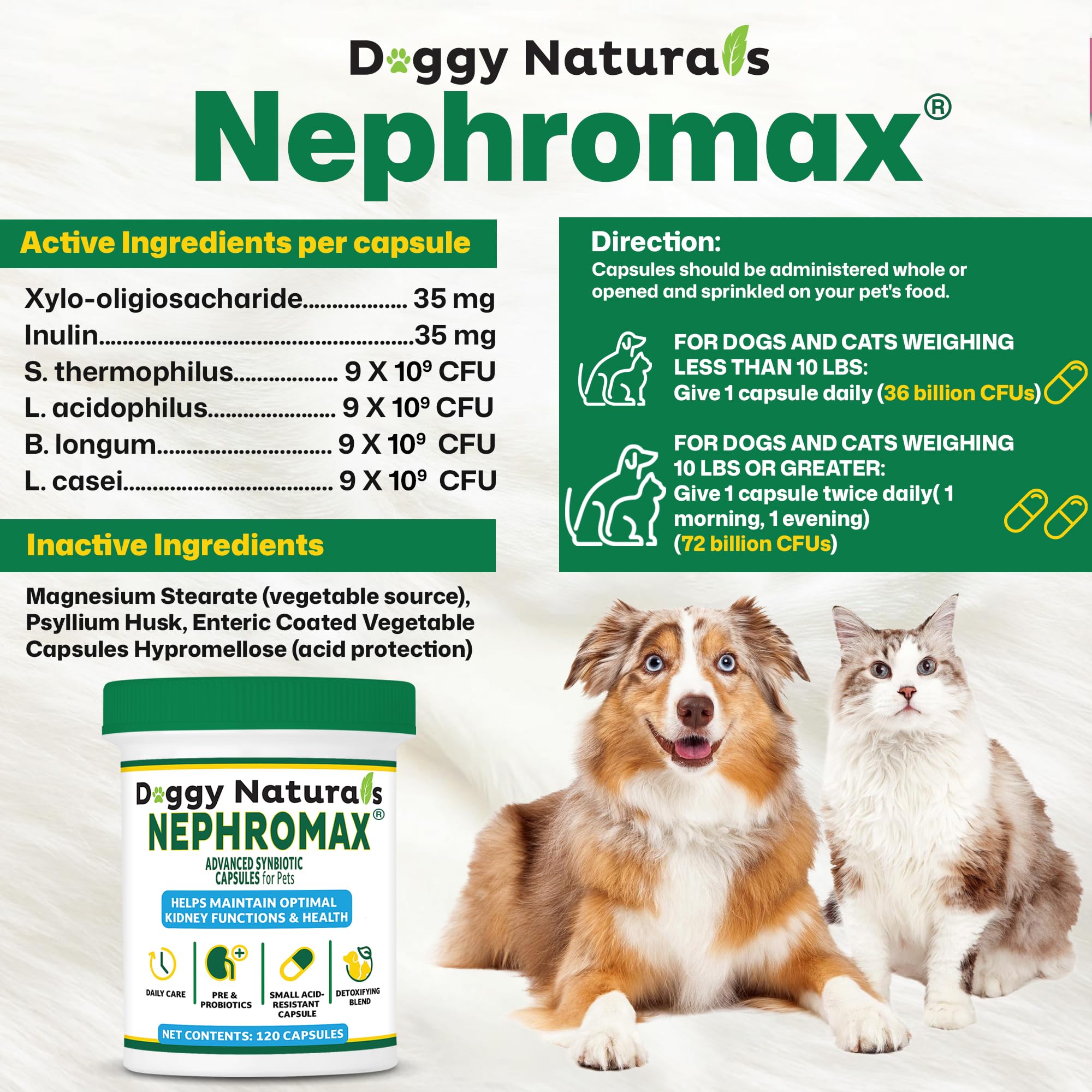 NEPHROMAX cápsulas simbióticas para perros en su dieta diaria.