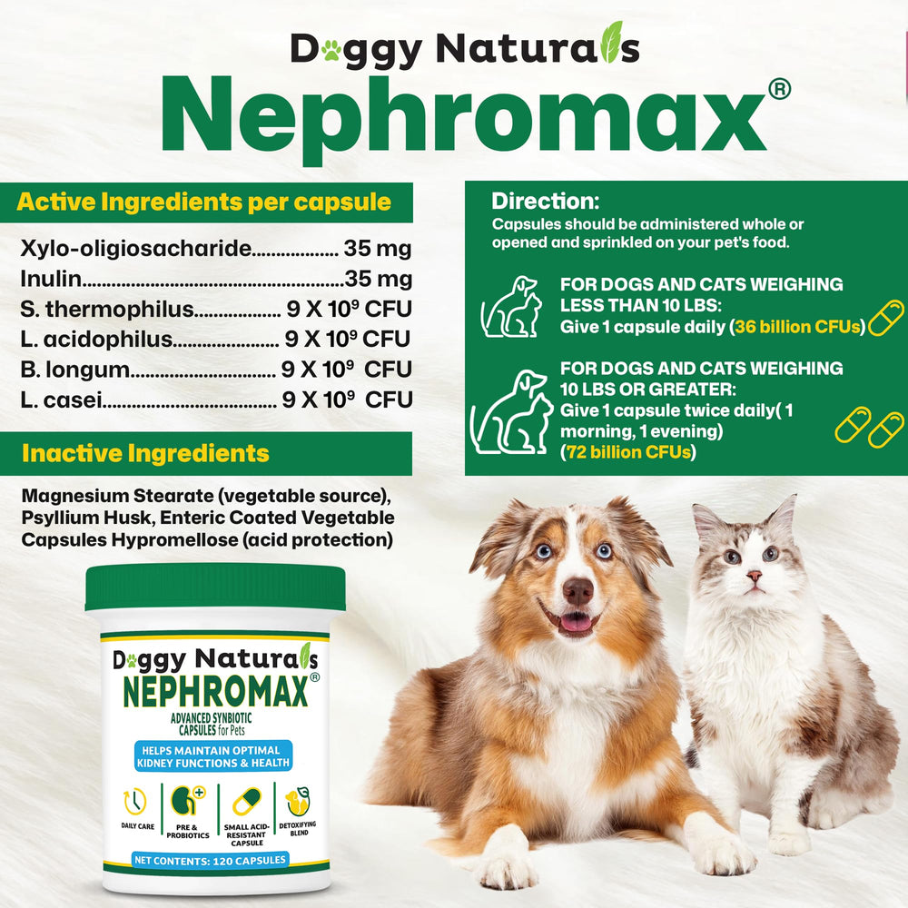 NEPHROMAX cápsulas simbióticas para perros en su dieta diaria.