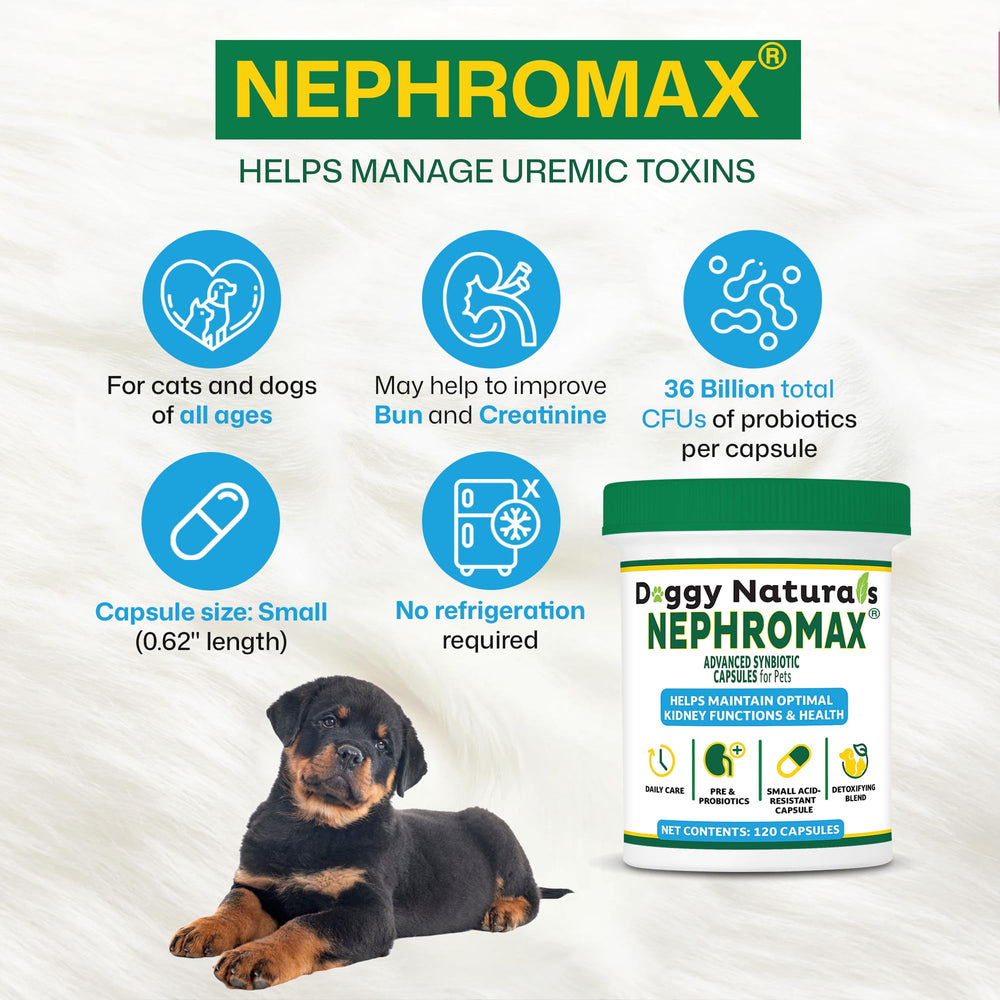 NEPHROMAX dosis de mañana, cápsula fácil de administrar.