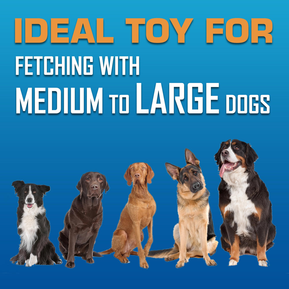 Nerf Dog Atomic Flyer ideal para sesiones de entrenamiento y juegos de lanzamiento.