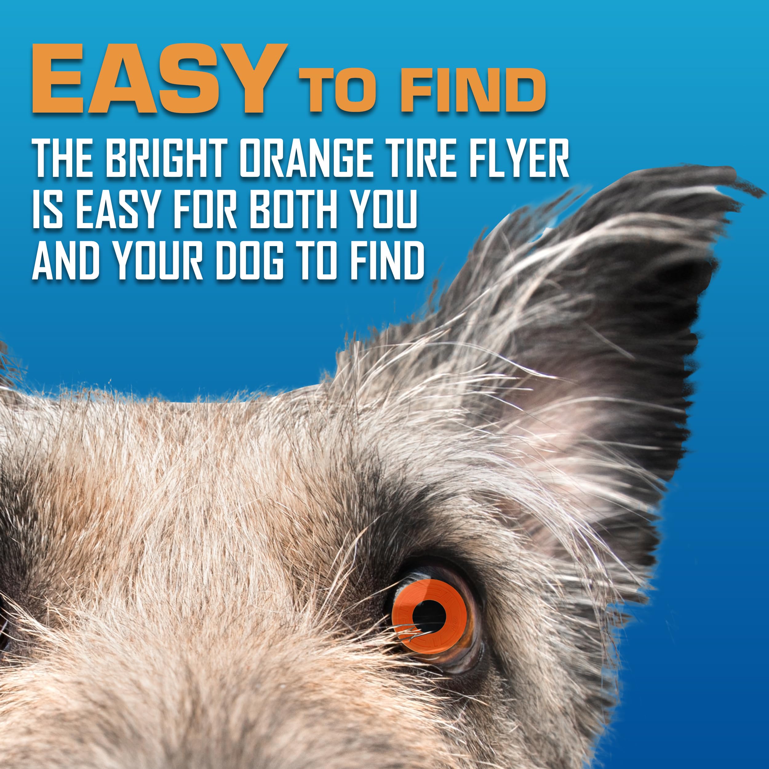 Nerf Dog Atomic Flyer ideal para lago, playa o parque.