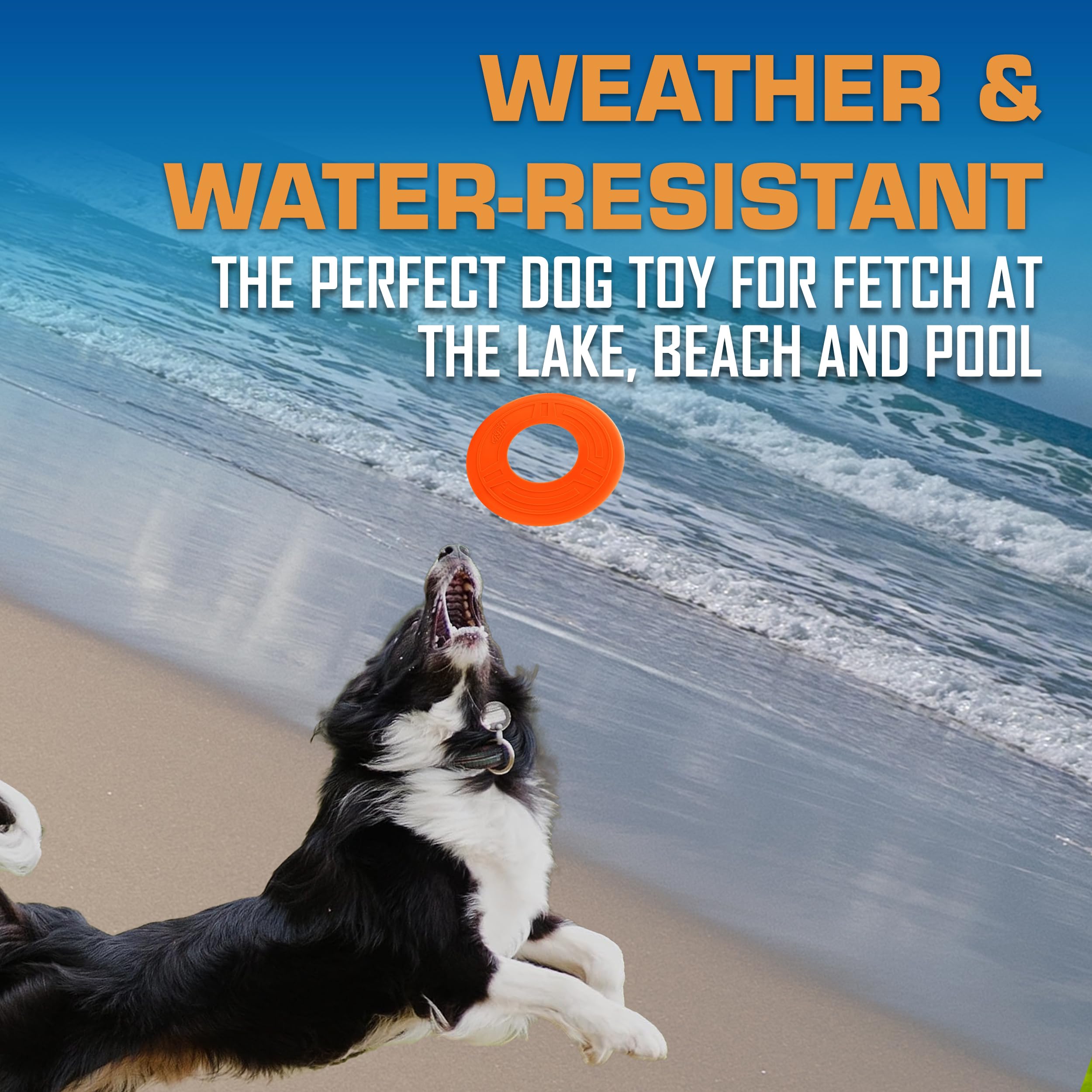 Nerf Dog Atomic Flyer impermeable y flota para lago y playa.
