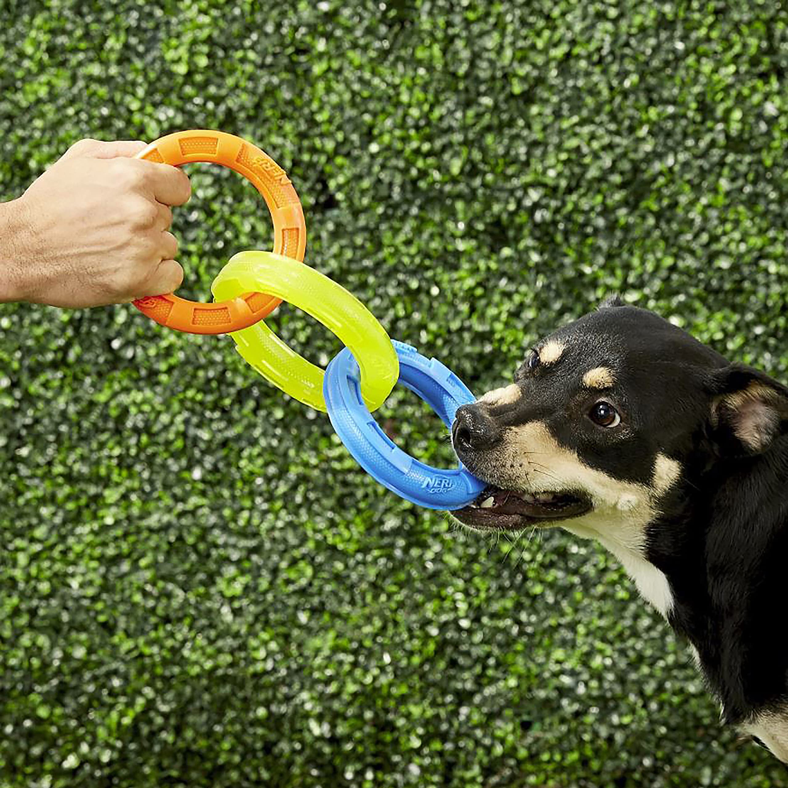 Nerf Dog Detalles de textura ondulada para masajear encías durante el juego.