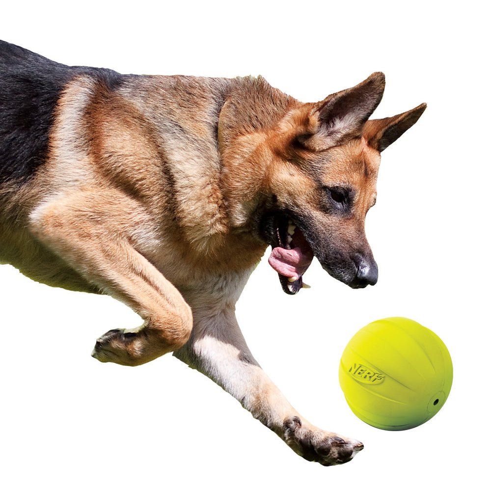 Nerf Dog pelota de goma con chirrido para juego seguro