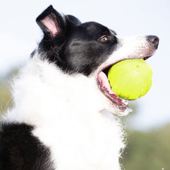 Nerf Dog pelota de goma texturada hexagonal para mejor agarre durante el juego