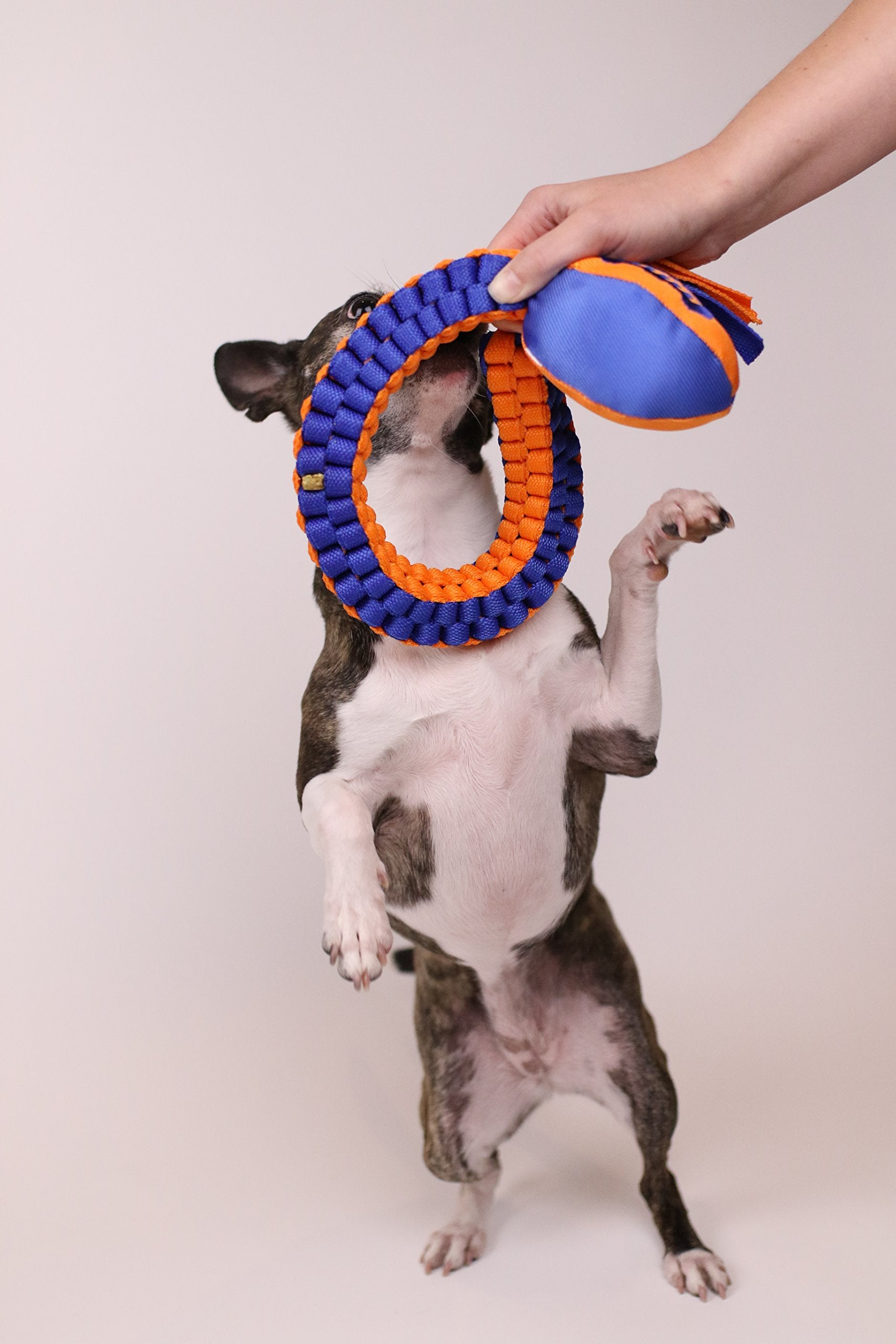 Nerf Dog Vortex Chain Tug de 30 pulgadas, entretenimiento de larga duración