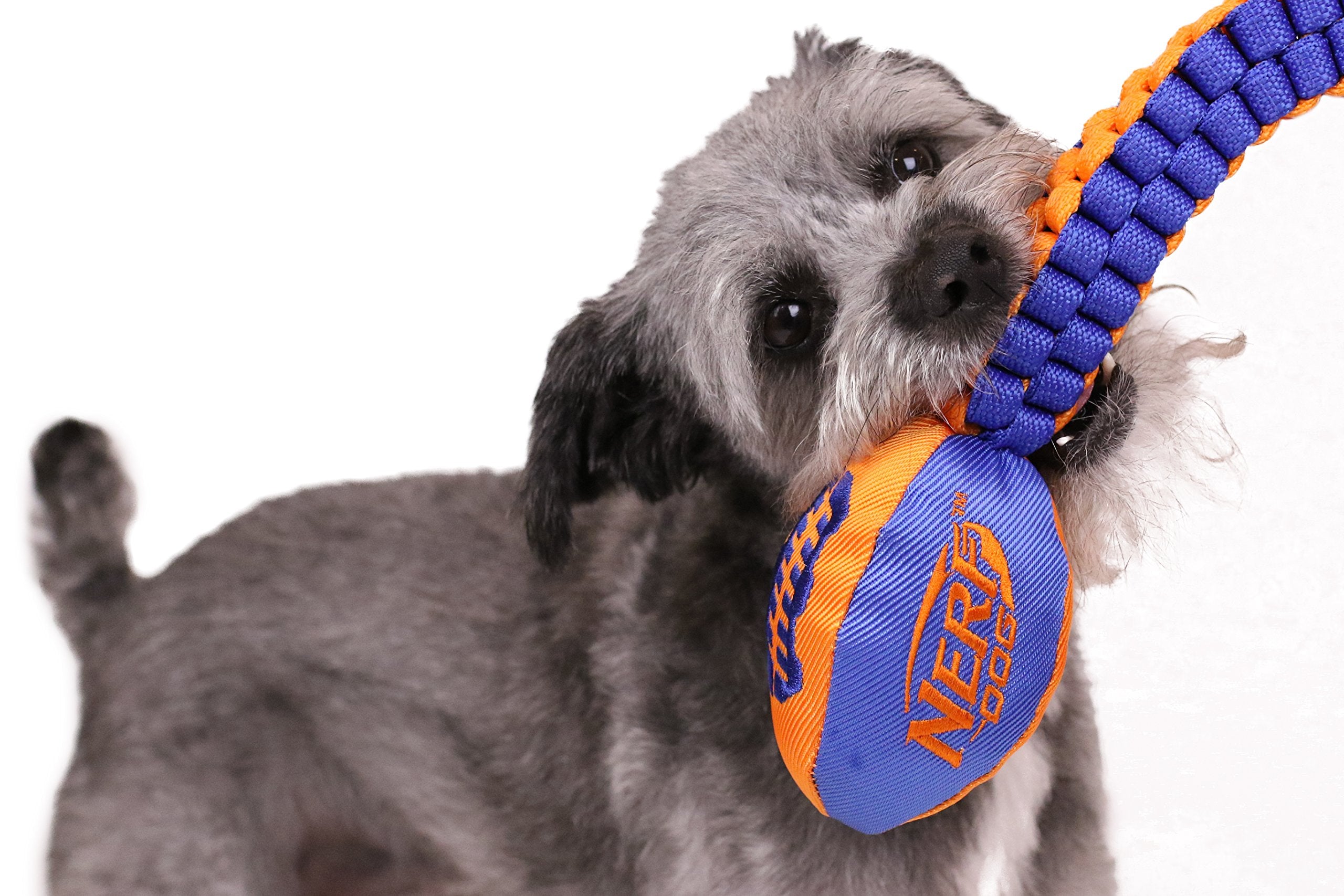 Nerf Dog Vortex Chain Tug ligero y resistente, apto para uso diario